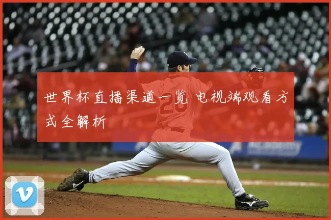 世界杯直播渠道一览 电视端观看方式全解析
