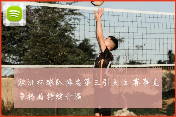 欧洲杯球队排名第三引关注 赛事竞争格局持续升温