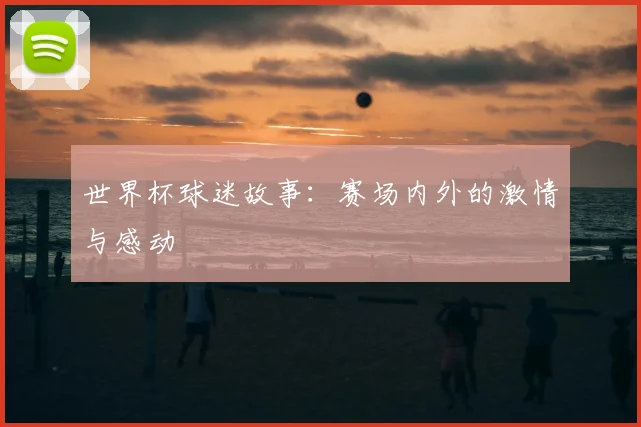 世界杯球迷故事：赛场内外的激情与感动