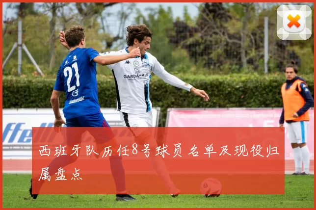 西班牙队历任8号球员名单及现役归属盘点