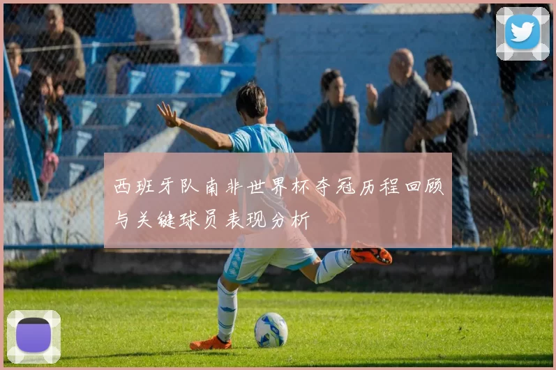 西班牙队南非世界杯夺冠历程回顾与关键球员表现分析