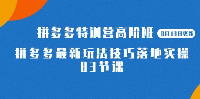 图片[1]-【独家攻略】2023拼多多特训营高阶班，带你玩转拼多多技巧！赶快来学习吧！【9月13日更新】-淘金部落
