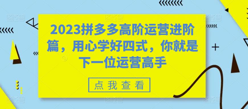 图片[1]-2023拼多多高阶运营进阶篇，用心学好四式，你就是下一位运营高手-淘金部落
