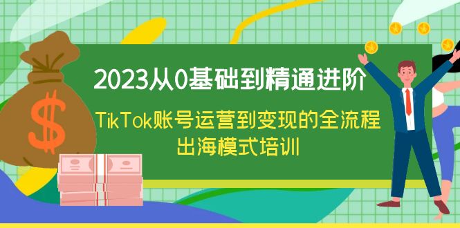 图片[1]-2023从0基础到精通进阶，TikTok账号运营到变现的全流程出海模式培训-淘金部落