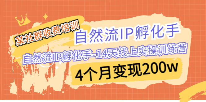 图片[1]-某社群收费培训：自然流IP 孵化手-14天线上实操训练营 4个月变现200w-淘金部落