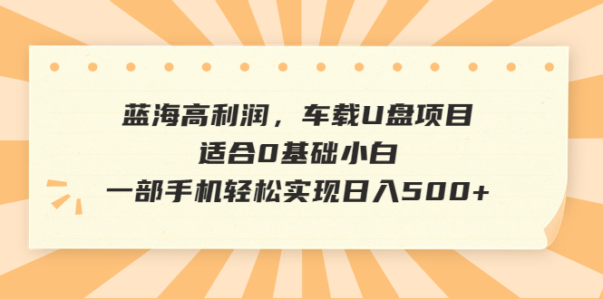 图片[1]-蓝海高利润，车载U盘项目，适合0基础小白，一部手机轻松实现日入500+-淘金部落