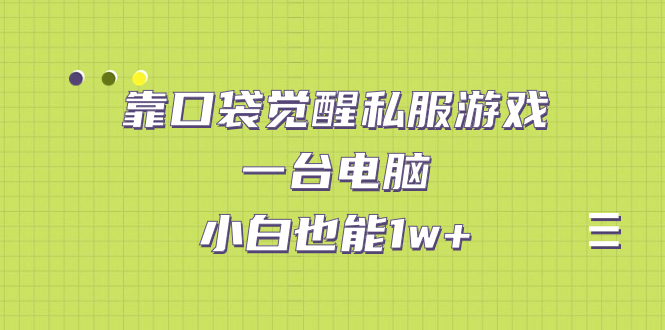 图片[1]-靠口袋觉醒私服游戏，一台电脑，小白也能1w+（教程+工具+资料）-淘金部落