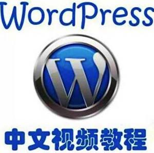 图片[1]-WordPress从入门到精通建站教程-淘金部落