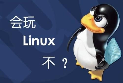 图片[1]-PHP架构之Linux基础、进阶优化、开发、负载均衡教程-淘金部落