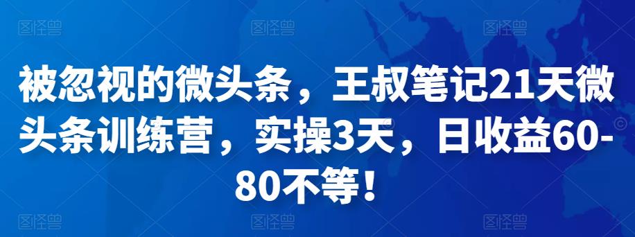 图片[1]-被忽视的微头条，王叔笔记21天微头条训练营，实操3天，日收益60-80不等-淘金部落