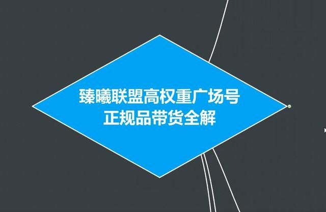 图片[1]-臻曦联盟抖音高权重广场号无人直播正规品带货全解【视频教程】-淘金部落