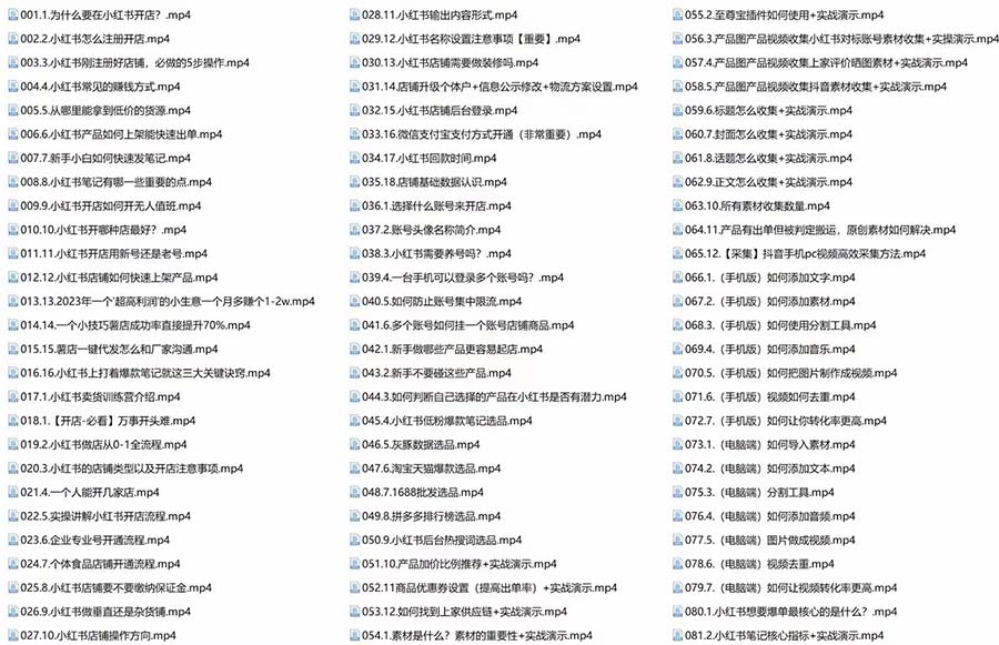 图片[3]-新个体·搞钱-小红书训练营：实战落地运营方法，抓住搞钱方向，每月多搞2w+-淘金部落