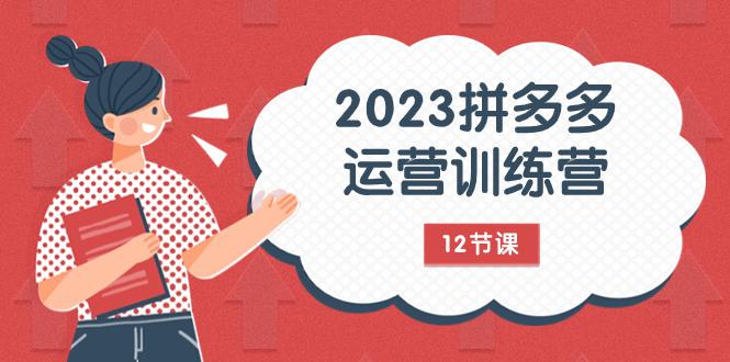 图片[1]-2023年拼多多运营攻略：解锁流量秘密，全方位免费+付费流量实战解析（12节课）-淘金部落