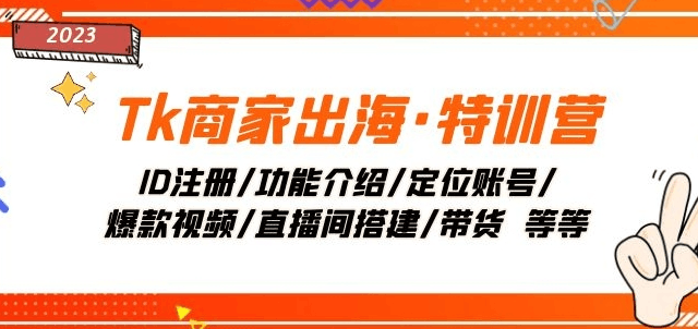 图片[1]-TK商家出海·特训营：ID注册/功能介绍/定位账号/爆款视频/直播间搭建/带货-淘金部落
