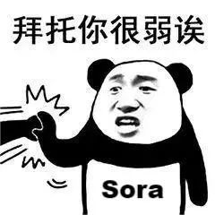 图片[7]-OpenAI全新发布的Sora，究竟厉害在哪里？-淘金部落