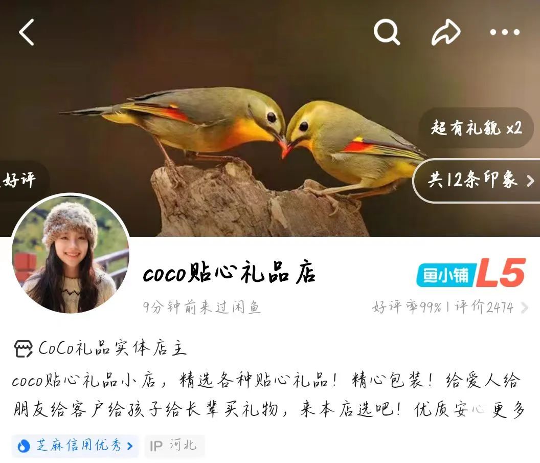 闲鱼新手卖家入门指南，轻松掌握操作技巧与核心经验！