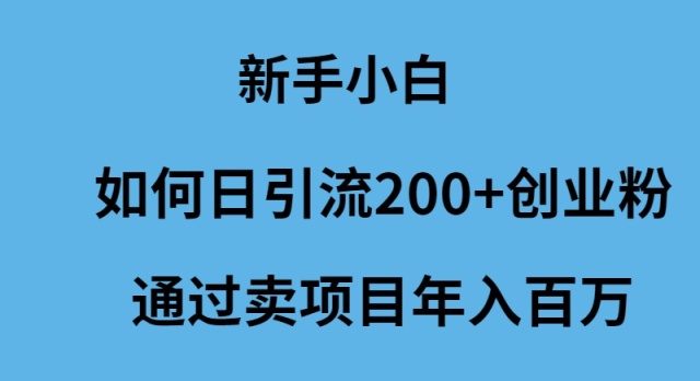 图片[1]-新手小白怎么样日引流200+创业粉通过卖项目年入百万-淘金部落