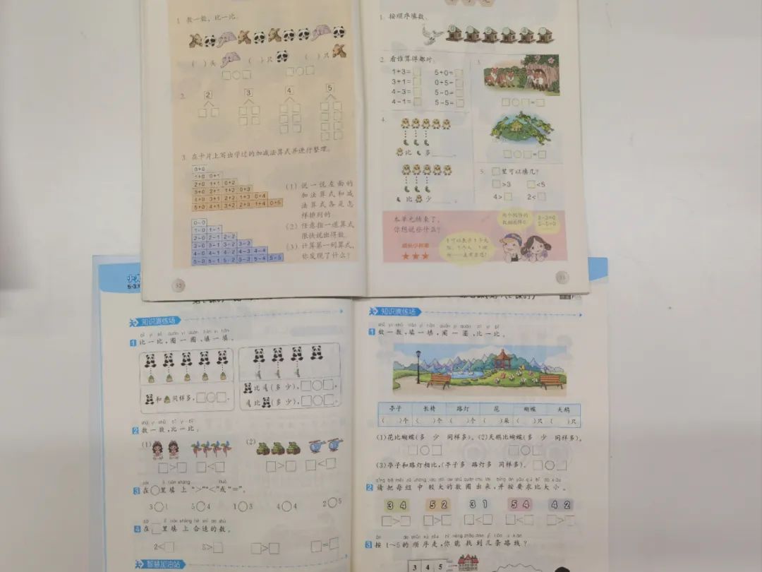 图片[17]-2024年度小学语文/数学教辅最佳搭配，鸡娃三年评测总结出的买书攻略-淘金部落