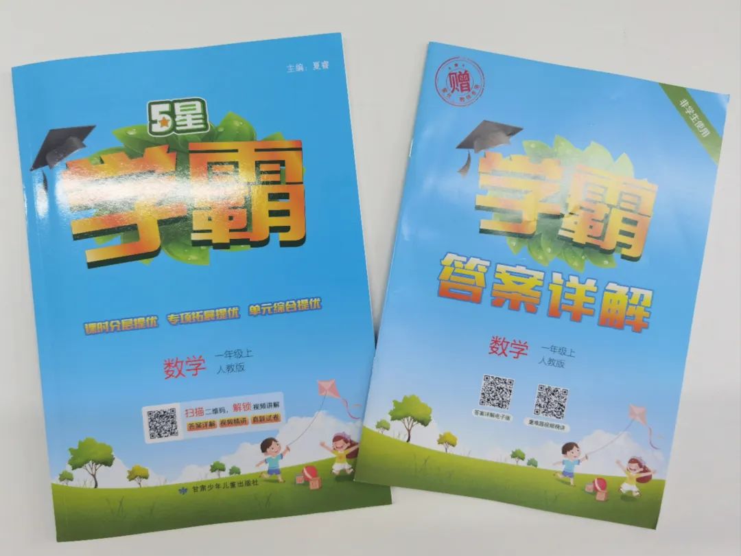 图片[24]-2024年度小学语文/数学教辅最佳搭配，鸡娃三年评测总结出的买书攻略-淘金部落