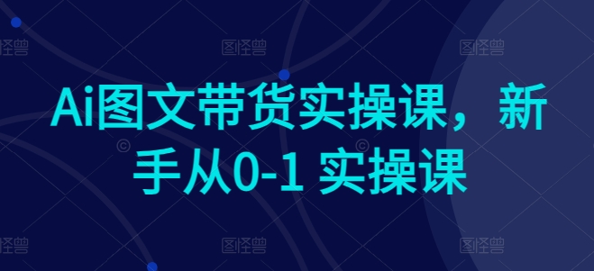 AI赋能电商：新手快速上手图文带货实操课程 -1