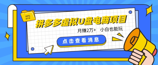 拼多多虚拟U盘电商：月赚2万+，红利项目，普通小白也能玩 -1