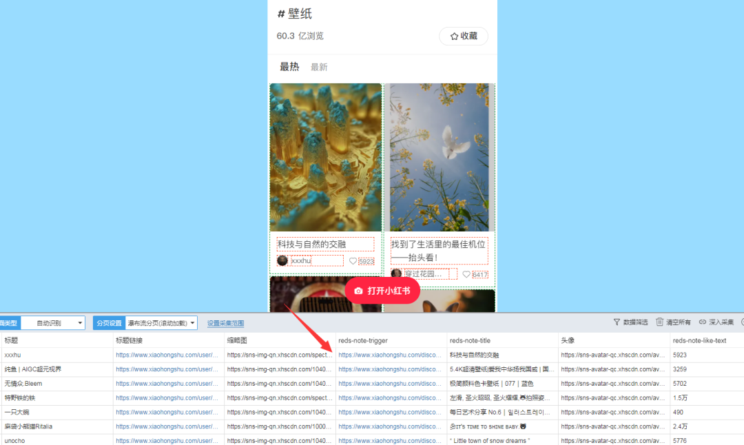 图片[10]-小红书实战100个知识点（100/03）｜后羿采集器，如何爬取小红书数据？-淘金部落