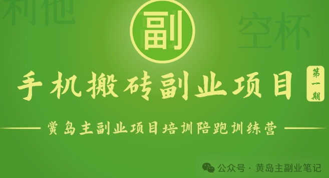 手机搬砖小副业项目训练营1.0，实测1小时收益50+，一部手机轻松日入100+ -1