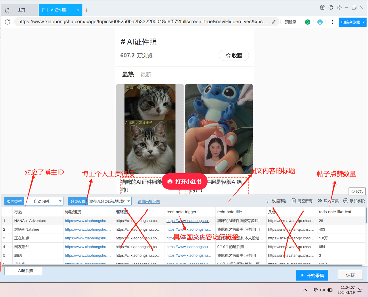 后羿采集器爬取小红书博主信息