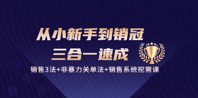 图片[1]-从小新手到销冠 三合一速成：销售3法+非暴力关单法+销售系统挖需课 (27节)-淘金部落