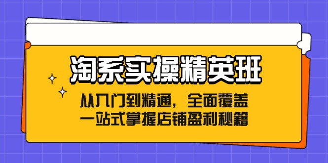 图片[1]-淘系实操精英班：从入门到精通，全面覆盖，一站式掌握店铺盈利秘籍-淘金部落