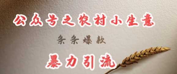 deepseek写农村小项目，条条爆款，暴力引流 -1