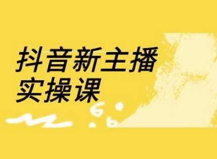 抖音新主播实操课，直播间流量运营线上实操课(18节) -1