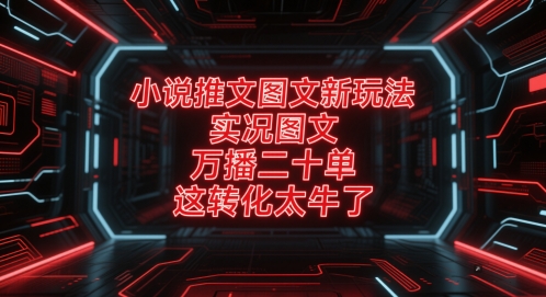 小说推文图文新玩法，实况图文，万播二十单，这转化太牛了！ -1