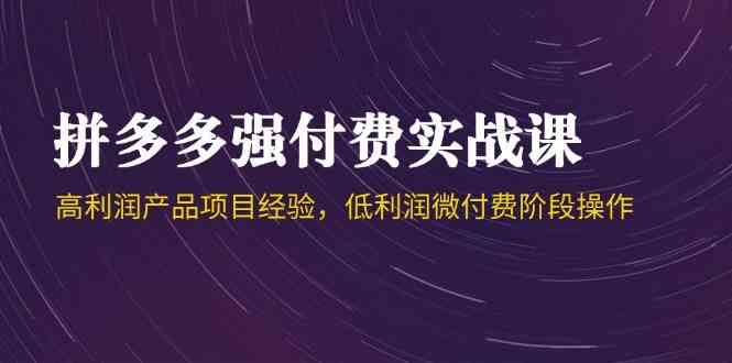 拼多多强付费实战课-44期，高利润产品项目经验，低利润微付费阶段操作 -1