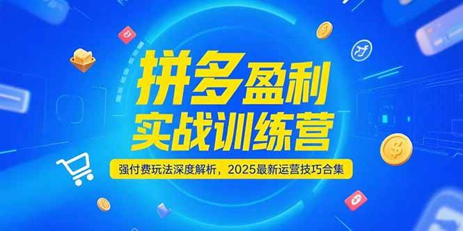 拼多多盈利实战训练营，强付费玩法深度解析，2025最新运营技巧合集 -1