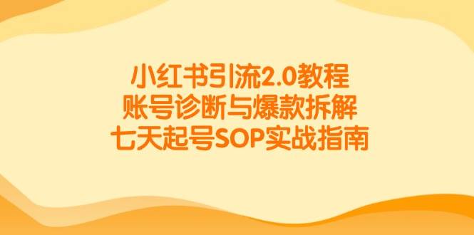 小红书引流2.0教程，账号诊断与爆款拆解，七天起号SOP实战指南 -1